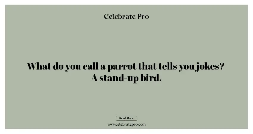 One-Liner Parrot Puns