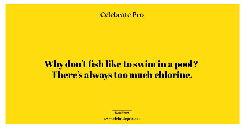 One-Liner Pool Puns