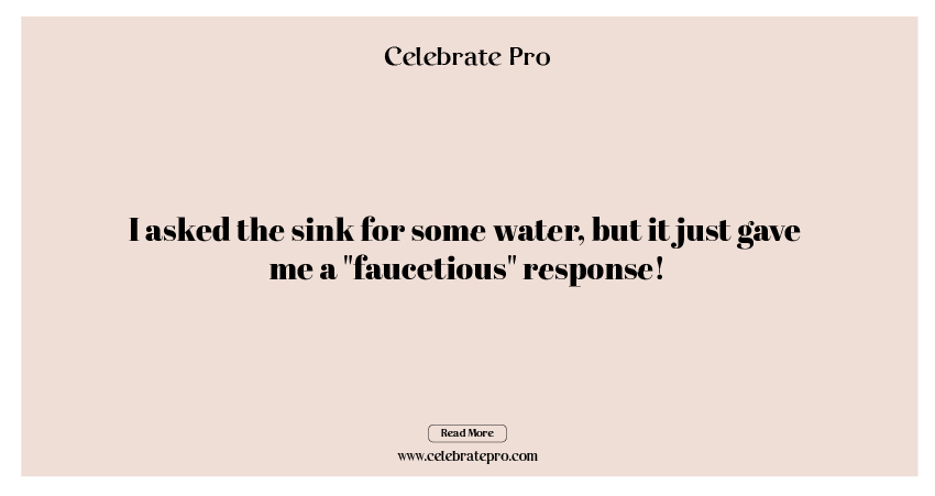 One-Liner Sink Puns