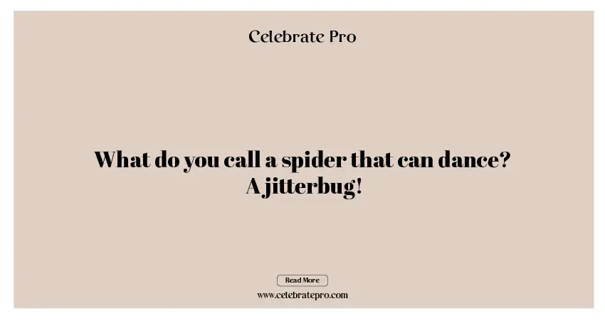 One-Liner Spider Puns