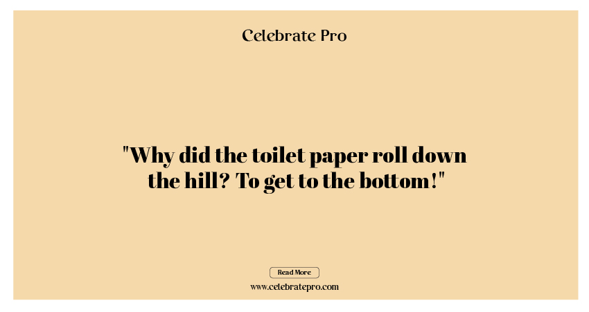 One-Liner Toilet Paper Puns