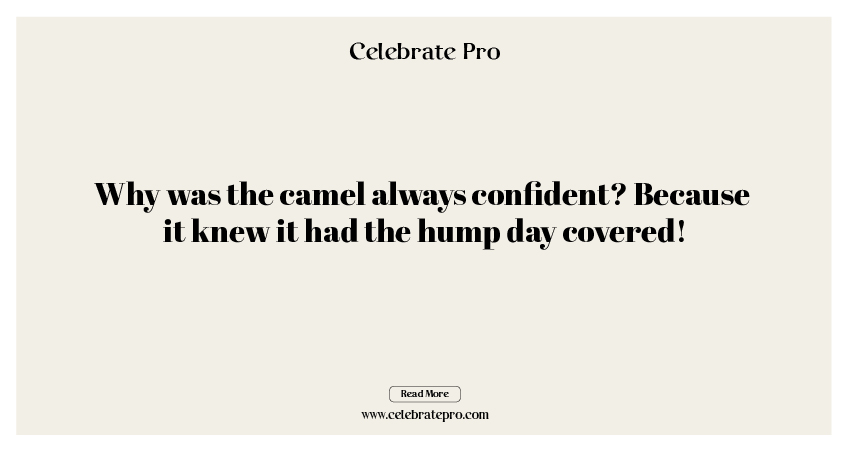 One-liner Camel Puns